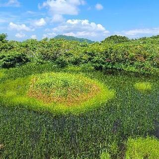登山友達募集 - 富山市