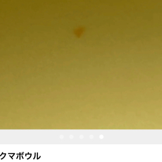 リラックマボール。の画像