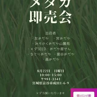 メダカ即売会　8月22日　富谷市成田　あじわいの朝　富谷店　店外...