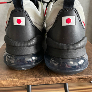NIKE ナイキ　CK6852-002NIKE AIR MAX ZM950 美品！　27cmの画像