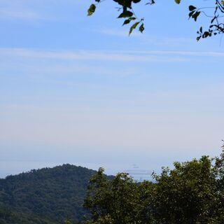 六甲山　平日体験ハイキング