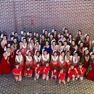 ハワイのフラ！初心者さん募集中の画像