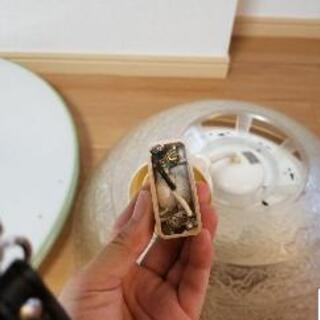 ペンダントライト　(蛍光灯付)の画像