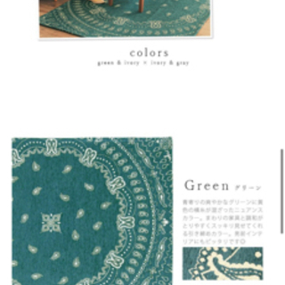 未使用品　玄関マット おしゃれ 洗える 約50×80cm Costa コスタの画像