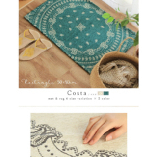 未使用品　玄関マット おしゃれ 洗える 約50×80cm Costa コスタの画像