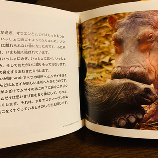 実話　「オウエンとムゼイ」定価1200円＋税の画像
