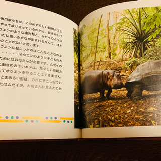 実話　「オウエンとムゼイ」定価1200円＋税の画像