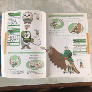 ポケモン　公式ガイドブック下の画像