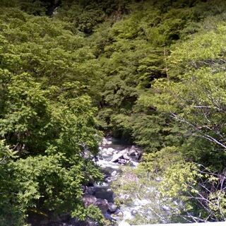 標高500ｍ　水の豊富な土地にある山荘　ポツンと一軒家　　　登記費用込み　 - 不動産売買（マンション/一戸建て）