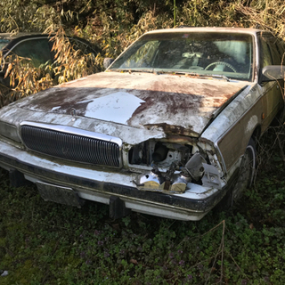 94‘ Buick REGAL Estate Wagonの画像