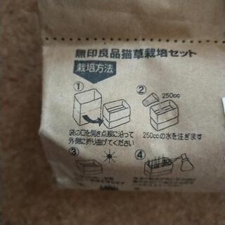 猫草　無印良品（取引中）の画像