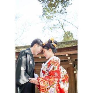 格安撮影が今だけできます！『期間限定』 − 大阪府