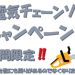 セール❗️電気チェーンソーの画像