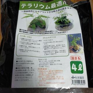 水が流れる水槽 GEXグラステリア30cm使用の画像