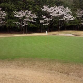 ゴルフパートナー募集😊⛳　