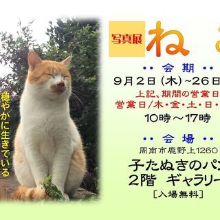 写真展「ね　こ」　