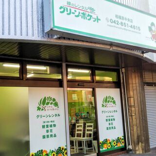 【　観葉植物レンタル　】小さな森をお届けします！