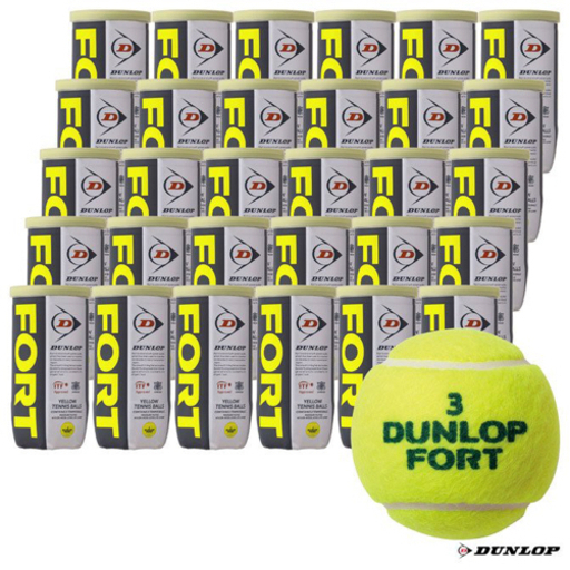 ダンロップ DUNLOP テニスボール DUNLOP FORT ダンロップ・フォート 2球入 1箱（30缶/60球）