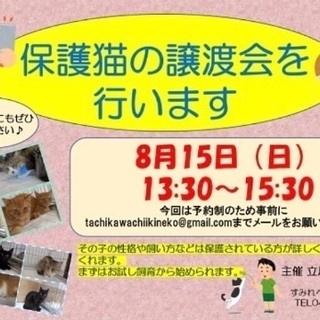 【 里親様決定 】ハウくんの募集を終了させて頂きます。沢山のお気に入り有難う御座いました！🙇‍♀️ - 里親募集