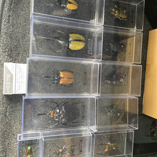 ！ディアゴスティーニ昆虫