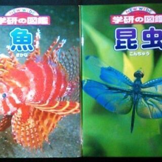ニューワイド 学研の図鑑 魚 昆虫 ２冊セット