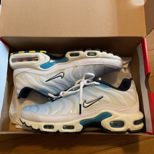 靴/バッグ AIR MAX plus