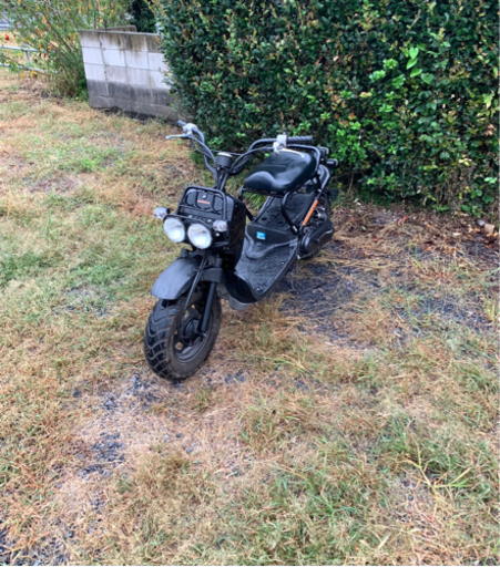 ホンダ　ズーマー　原付　バイク　50cc  車体　本体