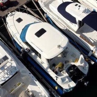クルージングメンバーを募集！！私たちと海の冒険に行きましょう！！ - 神戸市