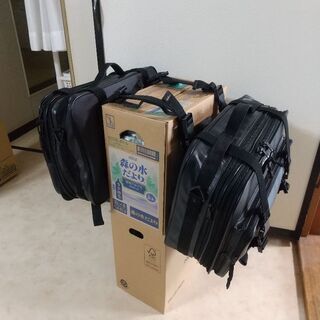サイドバック２個セットの画像