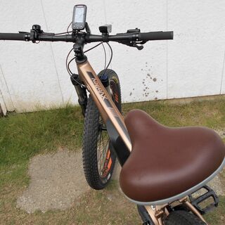 NESTO XValley 電動MTB 27.5インチ 10段変速の画像