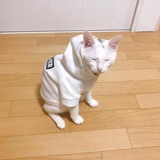 ペット用リフォームをしませんか?
