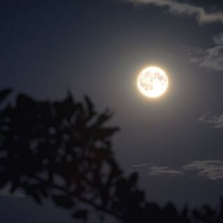 フルムーンヨガ　／　満月の夜のヨガ体験の画像