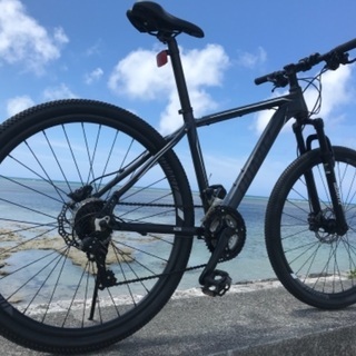 G4K電動自転車N58Kブリジストンアンジェリーノ4アンペア