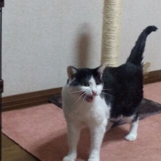 白黒の女の子 片目みえません