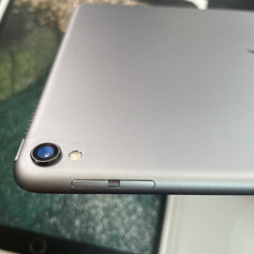 【美品】iPad pro 第2世代 64GB Wi-Fiモデル スペースグレー 2021/08/14