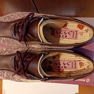 【未使用品】介護靴　ケアシューズらくらく　Moon Star 24cm EEE 日本製の画像