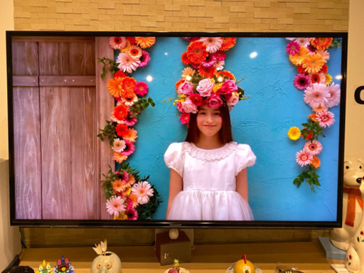 Panasonic 50インチ液晶テレビ TH-50AX800F