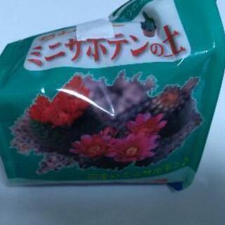 ミニサボテン植え替えセット