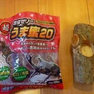 カブトムシゼリーと木