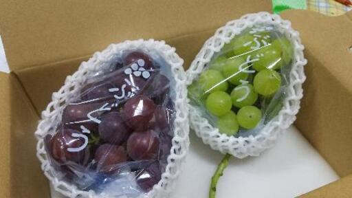 黄玉・巨峰　ギフトセット　農家直送