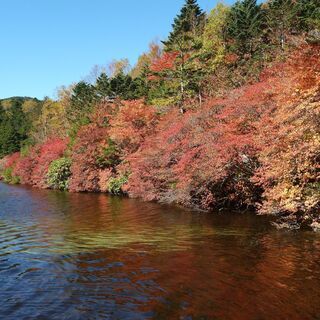 四季の綺麗な景色、温泉、食事等を皆さんとご一緒に楽しめる方募集