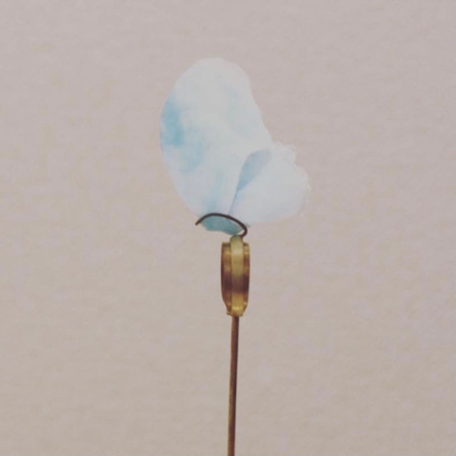 butterfly ring 【アート作品】販売します。