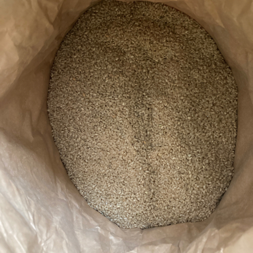 ★★コシヒカリ30キロ★★