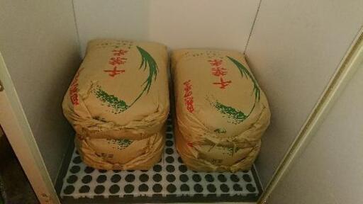 千葉県産コシヒカリ 令和2年産 30Kg 6000円