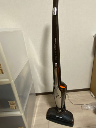 ergorapido 2in1 掃除機