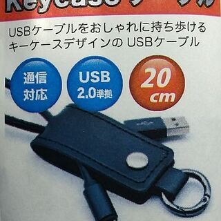 iOS Keycase　ケーブル