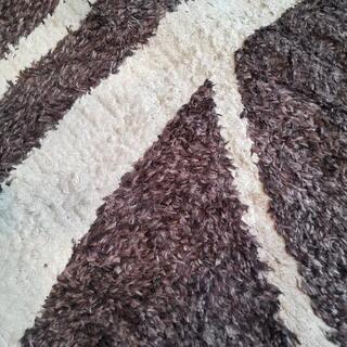 [取引中]  じゅうたん差し上げます。の画像