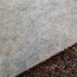 [取引中]  じゅうたん差し上げます。の画像