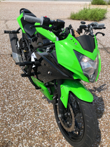 ニンジャ250 SL スタント仕様