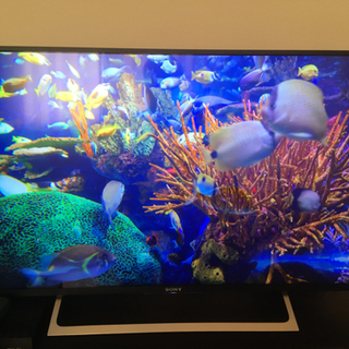 SONY 4k  高画質　43インチ　液晶テレビ　KJ-43X8000E